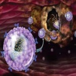 استفاده از نانوذرات لیپیدی به‌عنوان نانوحامل داروی ضد سرطان
