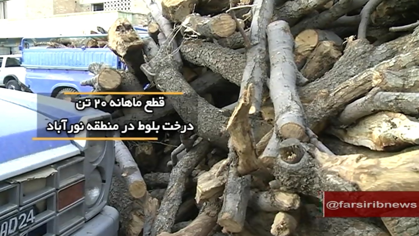 ضرورت به روزرسانی قانون حفاظت از جنگلها و مراتع ضرورت به روزرسانی قانون حفاظت از جنگلها و مراتع