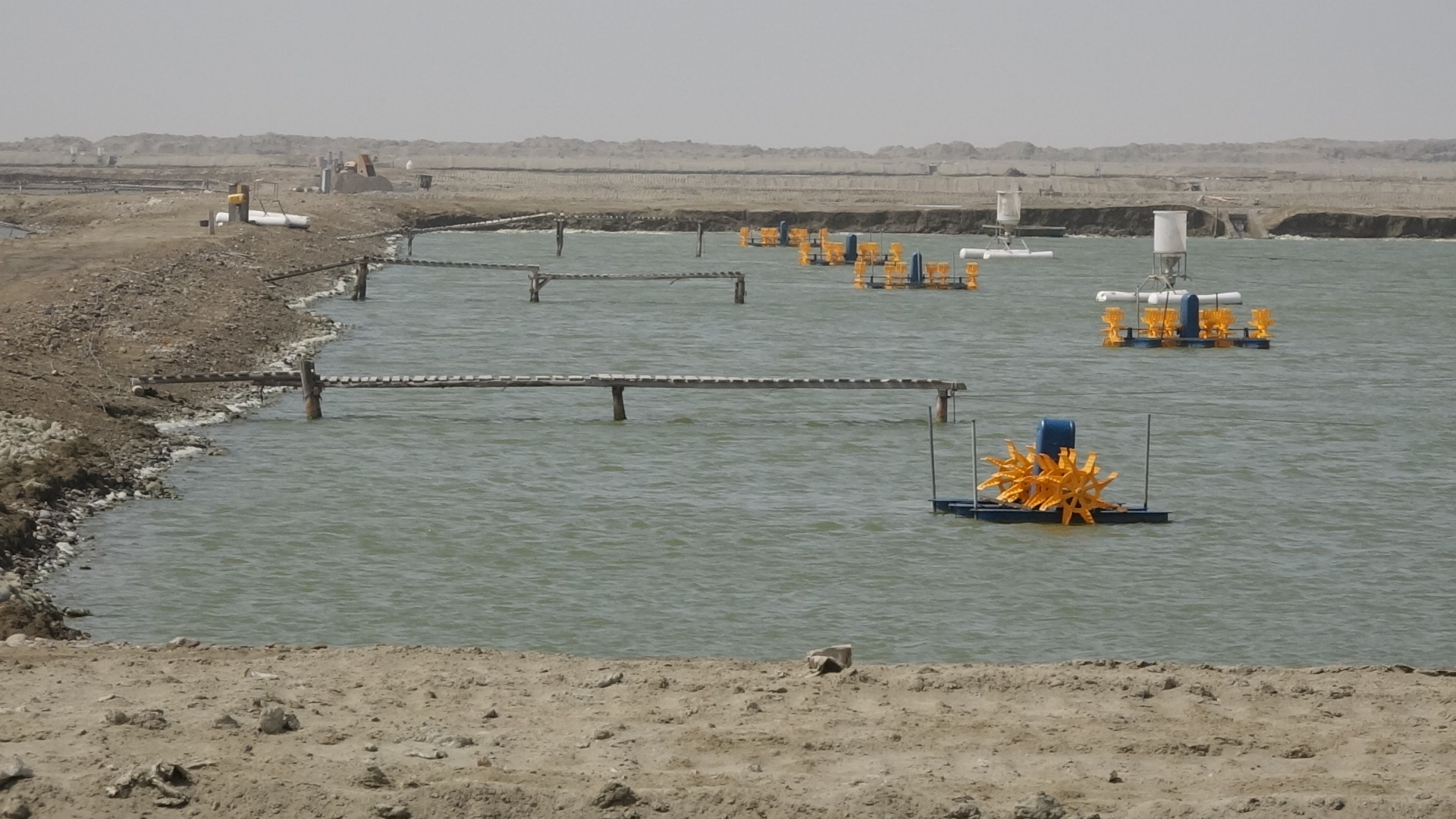 هرمزگان پیشرو در صنعت شیلات