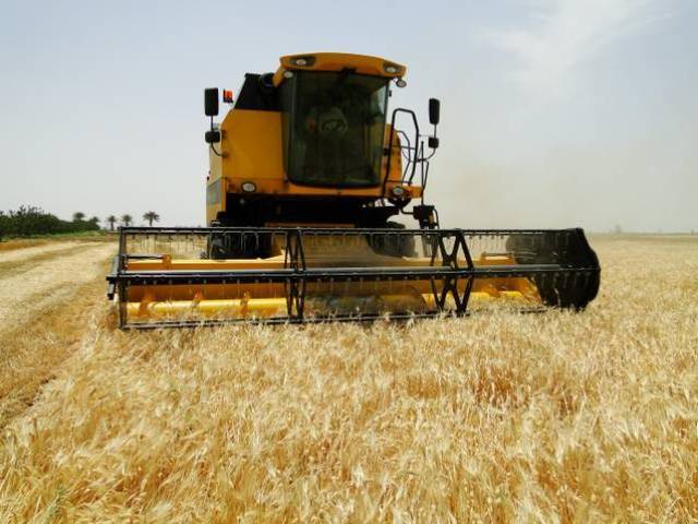 آغاز برداشت جو از مزارع
