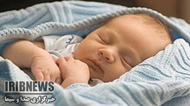 رکورد ولادتها در دست نوزادان پسر زنجانی رکورد ولادتها در دست نوزادان پسر زنجانی