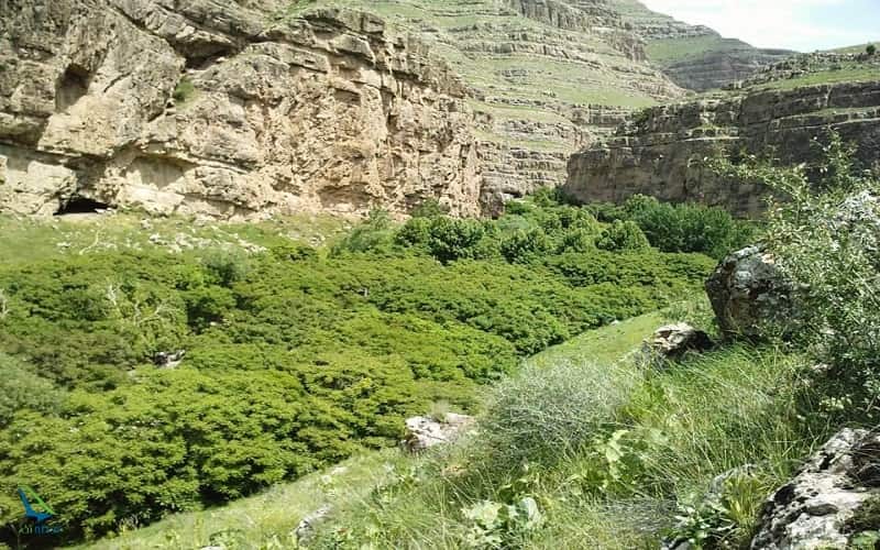 کمبود محیط بان برای حفاظت از پارک ملی تندوره کمبود محیط بان برای حفاظت از پارک ملی تندوره