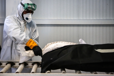 تجلی جهاد؛ مدافعان دیانت، یاوران سلامت