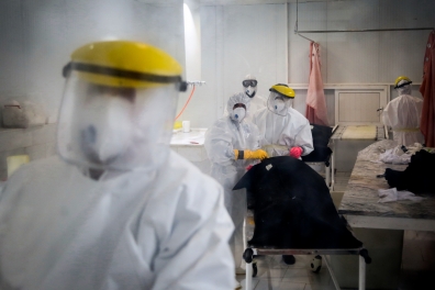 تجلی جهاد؛ مدافعان دیانت، یاوران سلامت