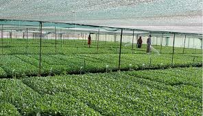 ایجاد ۱۰ شهرک کشاورزی در آذربایجان شرقی