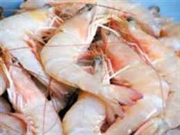 خلیج گواتر ، آخرین خشکی تا قطب جنوب