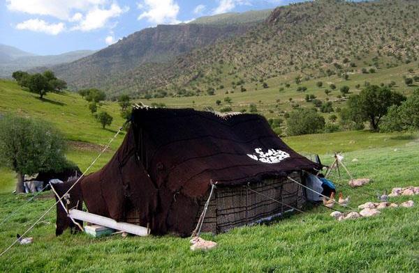 یک روز با عشایر چادرنشین/ هستند؛ اما دیده نمی‌شوند