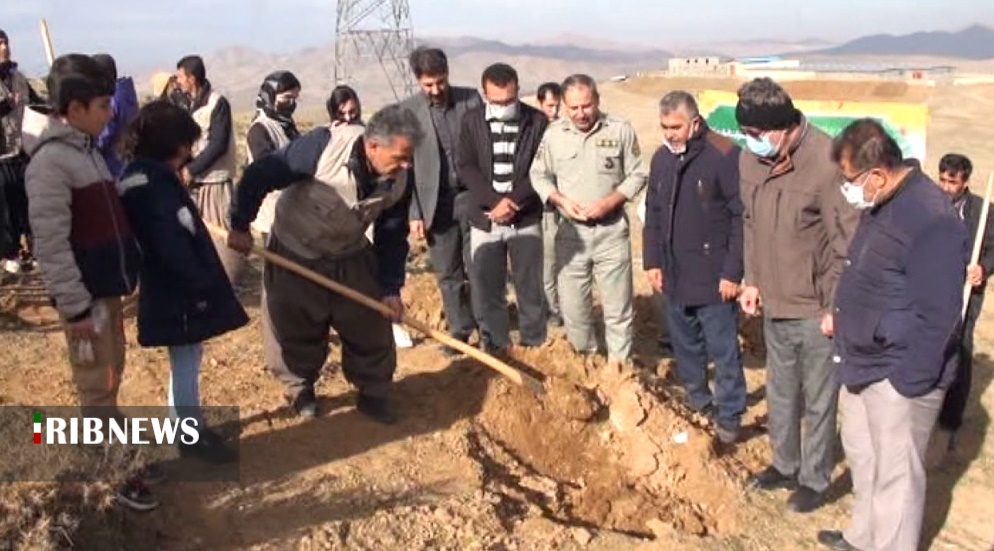 پویش مردمی بذرکاری و نهالکاری در سقز اجرا شد.