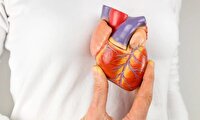 شناسایی و دسته بندی پنج نوع عارضه قلبی