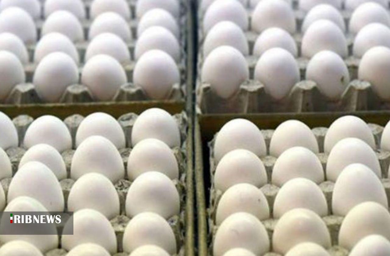 محکومیت متصدی واحد عرضه فرآورده‌های خام دامی در بجنورد