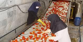 صنایع تبدیلی کشاورزی نیازمند ۲۳۱ همت برای تکمیل طرح‌های ناتمام