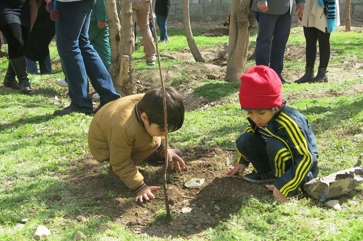 کاشت ۲ میلیون اصله نهال در بجنورد