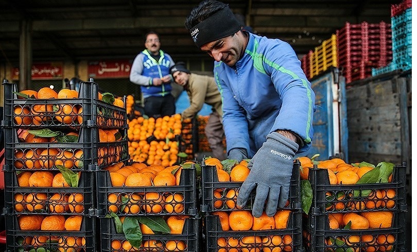 تامین و ذخیره سازی میوه تنظیم بازار شب عید در همدان