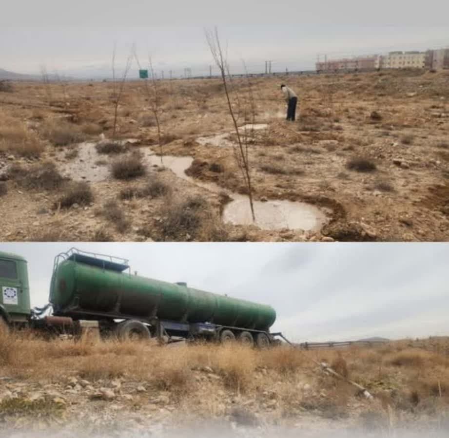 کنارگذر شمالی بجنورد نهال کاری شد