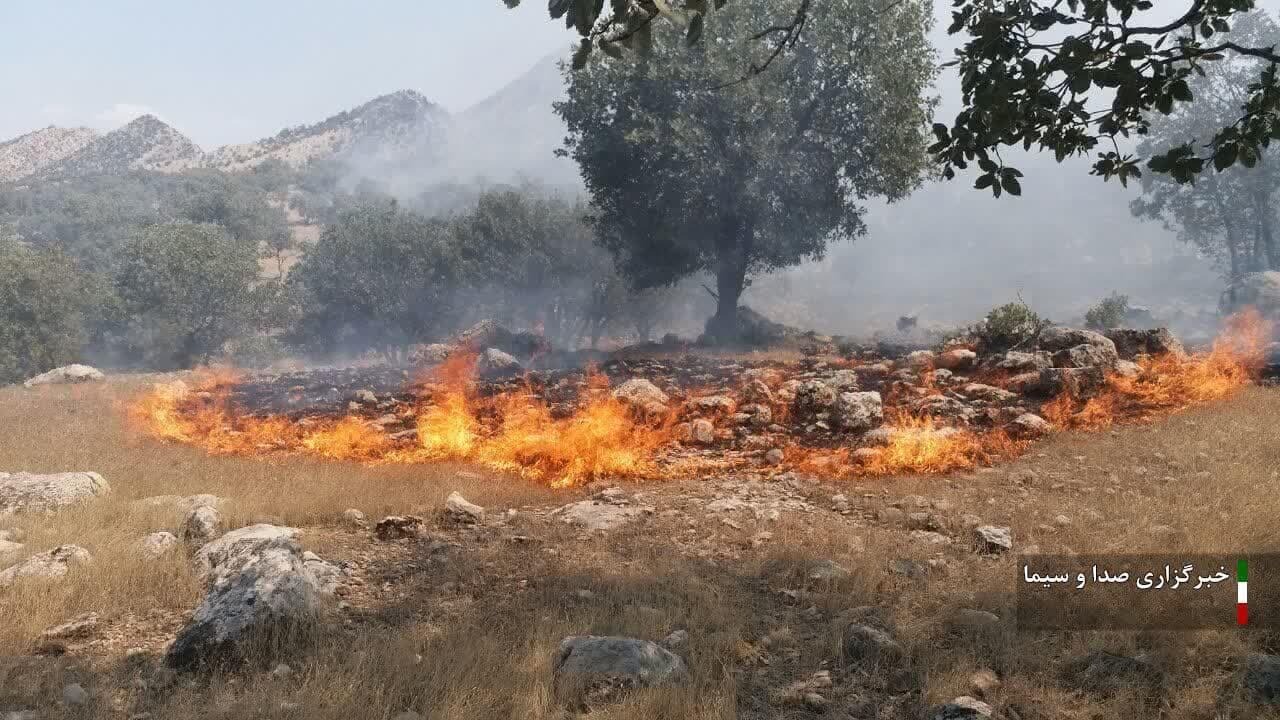 معرفی ۱۹ عامل آتش سوزی جنگلهای لرستان به مراجع قضایی معرفی ۱۹ عامل آتش سوزی جنگلهای لرستان به مراجع قضایی