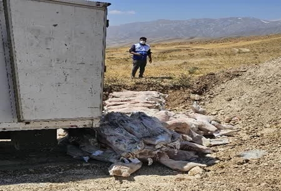 کشف، ضبط و معدوم ۲ تن گوشت منجمد غیر بهداشتی در پیرانشهر