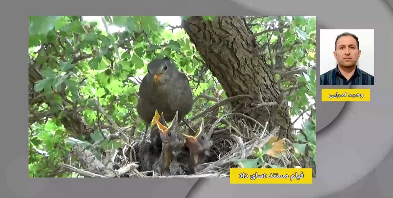 مرور چند برنامه از قاب تلویزیون مرور چند برنامه از قاب تلویزیون