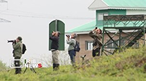 سرشماری پرندگان مهاجر آبزی با استفاده از فناوری های نوین در گیلان