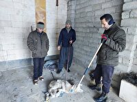 تیمار یک قلاده گرگ در ارتفاعات مرزی کیلی سردشت