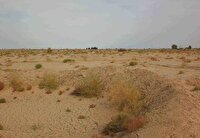 شناسایی ۱۴ کانون بحرانی فرسایش بادی در استان