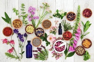 گیاهان پر خاصیت فرصتی برای سلامتی و مداوا