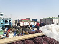 صادرات بیش از ۳۹ هزار تن محصولات کشاورزی از خرمشهر