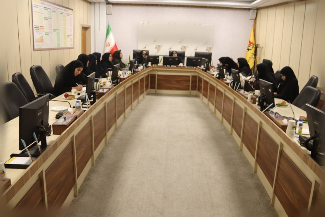 بررسی و تبیین نقش زنان خانواده در مواقع بحران بررسی و تبیین نقش زنان خانواده در مواقع بحران