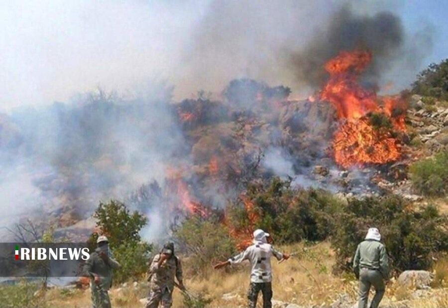 وقوع ۶۵ فقره حریق در مراتع و جنگلهای لرستان وقوع ۶۵ فقره حریق در مراتع و جنگلهای لرستان