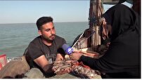 پیش بینی برداشت ۸هزار تنی میگو با مجوز صید میگوی سفید برای صیادان آبادانی و خرمشهری