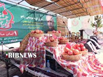 آغاز چهارمین جشنواره انار در تنگ سیاب کوهدشت