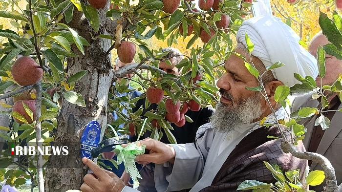 پلاک کوبی پنج هزار درخت برای زکات در آذربایجان شرقی