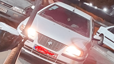 تشکیل پرونده قضایی برای عامل سگ گردانی در بندرعباس