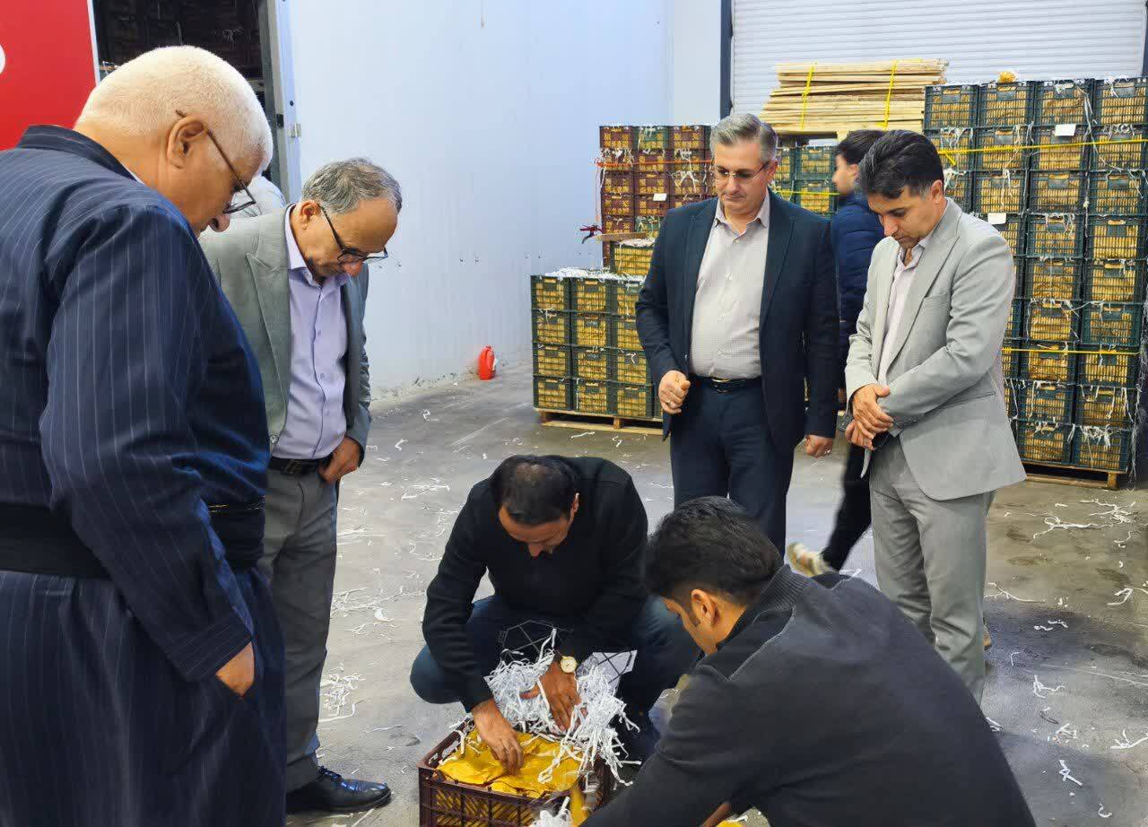 تامین و ذخیره سازی میوه برای تنظیم بازار شب عید و نوروز ۱۴۰۵ در آذربایجان غربی  تامین و ذخیره سازی میوه برای تنظیم بازار شب عید و نوروز ۱۴۰۵ در آذربایجان غربی