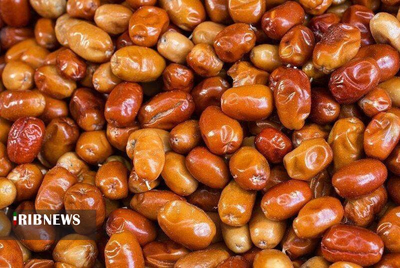 آذربایجان شرقی رتبه نخست کشور در تولید سنجد