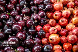 برگزاری جشنواره انار در مصلای تهران