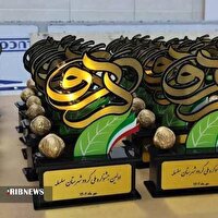 ثبت جشنواره گردوی لرستان در تقویم رویدادهای گردشگری کشور