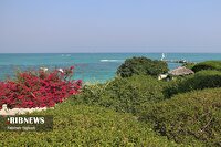 پیش بینی دریای نسبتاً آرام و شرایط مناسب برای تردد‌های دریایی