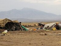 سیلاب، بخش عشایری ایلام را متضرر کرد