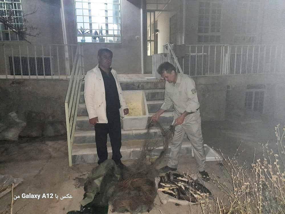 دستگیری یک صیاد متخلف در رودخانه زرینهرود شاهیندژ دستگیری یک صیاد متخلف در رودخانه زرینهرود شاهیندژ