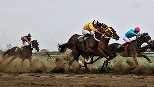 معرفی برترین‌های مسابقات کورس سوارکاری پائیزه کشور گنبدکاووس