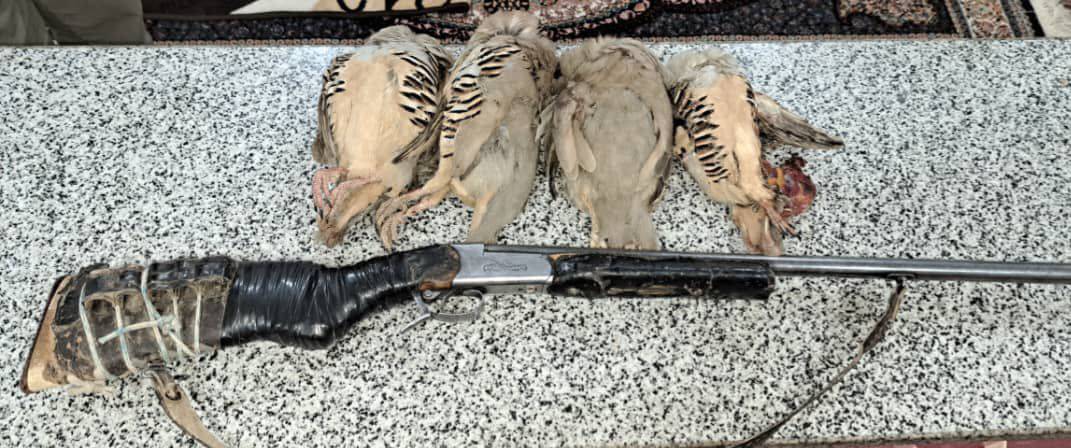 دستگیری شکارچیان متخلف درمنطقه حفاظت‌شده هلن