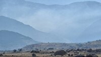 مشاهده دود در برخی از مناطق جنگل‌های گناوه لری